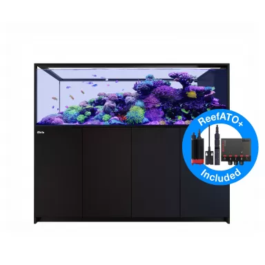 Red sea REEFER Peninsula G2+ S-950-System – Schwarz | Coralandfishstore.nl