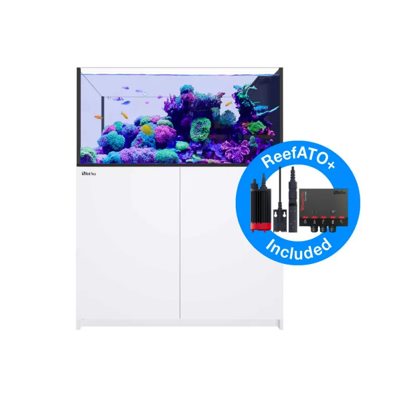 Red Sea Peninsula P500 Deluxe wit | Coralandfishstore.nl Red Sea Peninsula P500 Deluxe wit | Coralandfishstore.nl