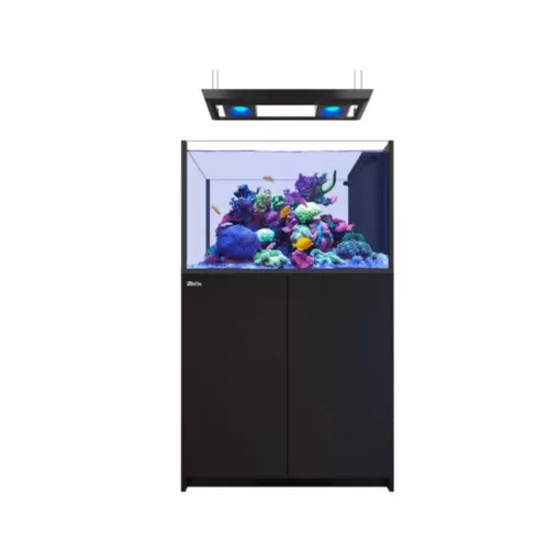 Red Sea REEFER Peninsula G2+ 350 Deluxe – Schwarz kaufen? | Coralland ...