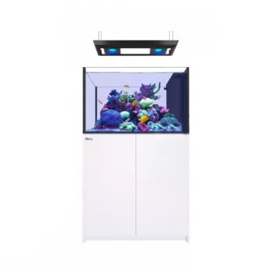 Red Sea REEFER Peninsula G2+ 350 Deluxe – Weiß | Coralandfishstore.nl