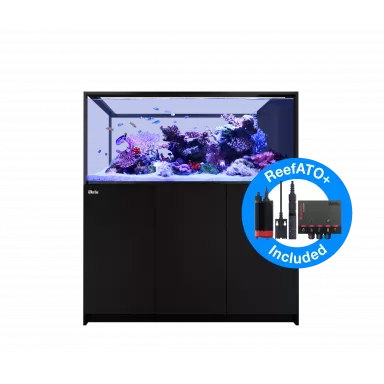 Red sea REEFER Peninsula G2 S-700 ✔ Bestel eenvoudig online! ✔ Laagste prijs