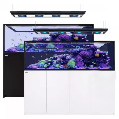 Red sea REEFER Peninsula G2 S-950 Deluxe Black (Incl Reefled 160S)