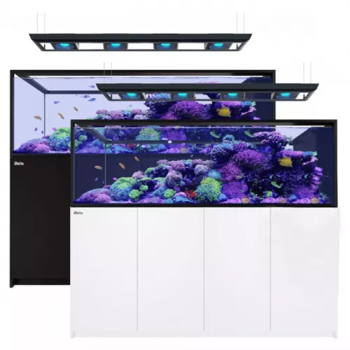 Red sea REEFER Peninsula G2 S-950 ✔ Einfach online bestellen! ✔ Niedrigster Preis