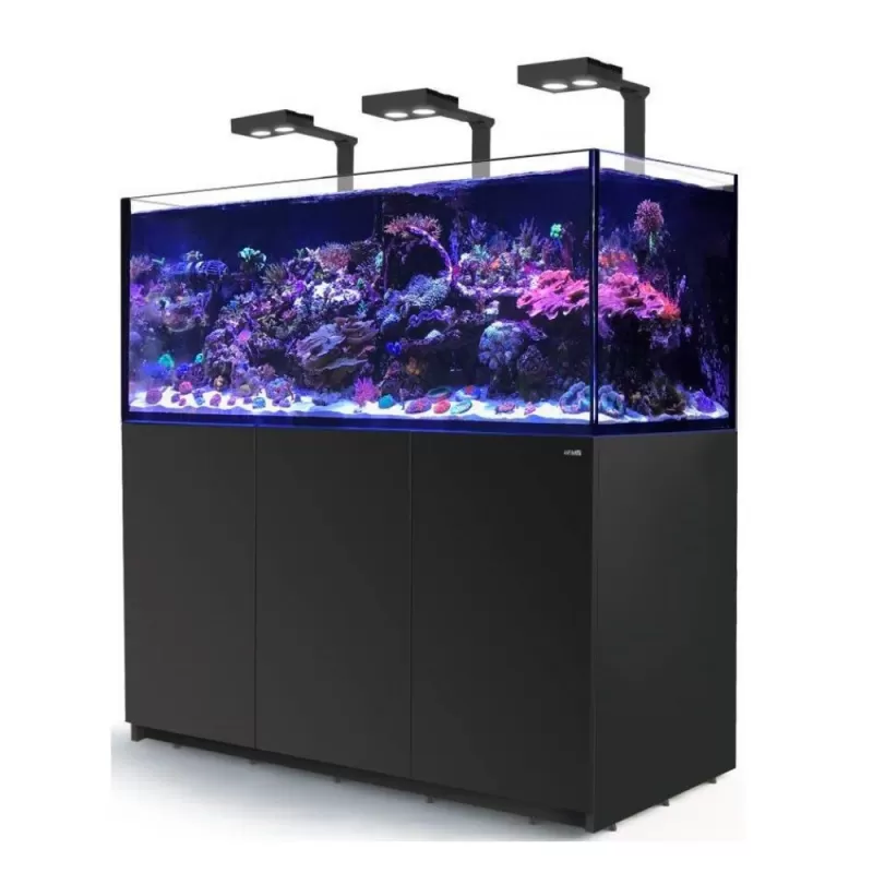 Red Sea Reefer 625 G2+ Deluxe Schwarz | Coralland Fischladen