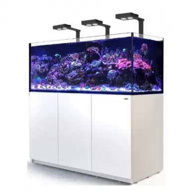 Red Sea Reefer 625 G2+ Deluxe Weiß | Coralland Fischladen