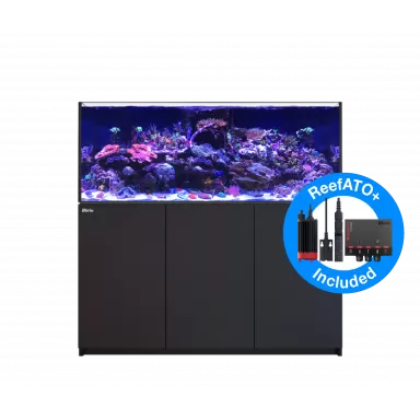 Red Sea REEFER™ 625 Komplettsystem G2 – Schwarz | Coralandfishstore.nl