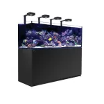 Red Sea Reefer XXL 750 G2+ Deluxe Zwart (incl Reefled 90)