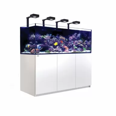 Red Sea Reefer 750 G2+ Deluxe Weiß | Coralland Fischladen