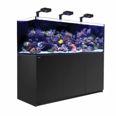 Red Sea Reefer 750 G2+ Deluxe Schwarz (G2 170) l Coralandfishstore.nl