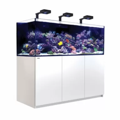 Möchten Sie Red Sea Reefer 750 G2+ Deluxe White kaufen? l Coralandfishstore.nl