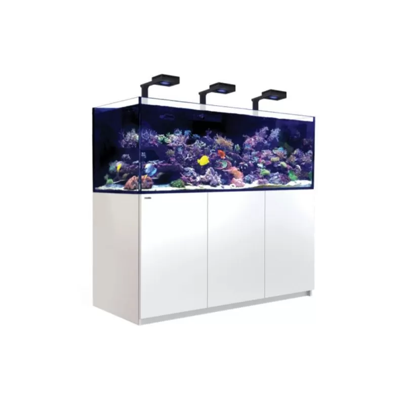 Möchten Sie Red Sea Reefer 750 G2+ Deluxe White kaufen? l Coralandfishstore.nl