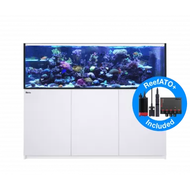 Kaufen Sie Red Sea REEFER™ 750 System G2 – Weiß | Coralandfishstore.nl