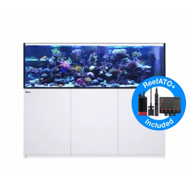 Kaufen Sie Red Sea REEFER™ 750 Komplettsystem G2 – Weiß | Coralandfishstore.nl