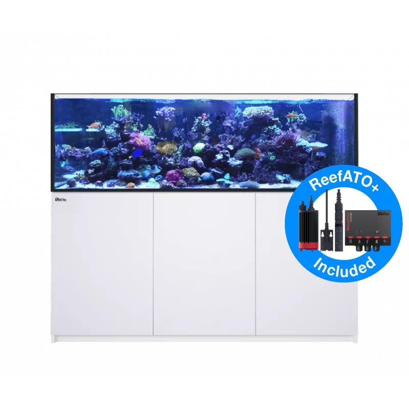 Kaufen Sie Red Sea REEFER™ 750 System G2 – Weiß | Coralandfishstore.nl Kaufen Sie Red Sea REEFER™ 750 System G2 – Weiß | Coralandfishstore.nl