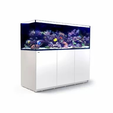 Kaufen Sie Red Sea REEFER™ 750 System G2 – Weiß | Coralandfishstore.nl