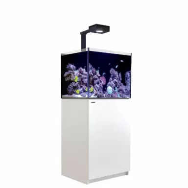 Red Sea Reefer 170 G2+ Deluxe Wit
