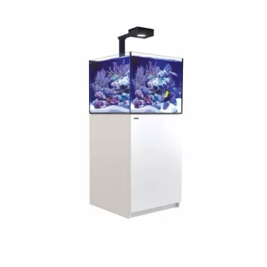 Möchten Sie Red Sea Reefer 200 G2+ Deluxe White kaufen? l Coralandfishstore.nl