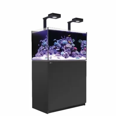 Möchten Sie Red Sea Reefer 250 G2+ Deluxe Black kaufen? | Coralandfishstore.nl