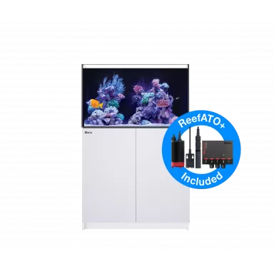 REEFER™ 250 Complete System G2 Deluxe | Coralandfishstore.nl