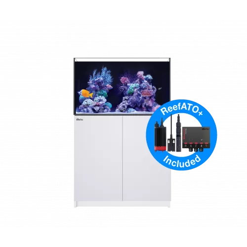 Kaufen Sie REEFER™ 250 Komplettsystem G2 – Weiß | Coralandfishstore.nl