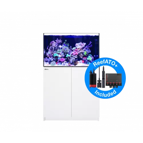 Möchten Sie Red Sea Reefer 300 System G2+ White kaufen? l Coralandfishstore.nl