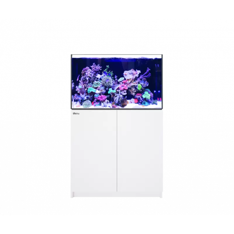 Red Sea Reefer XL 300 G2+ Wit