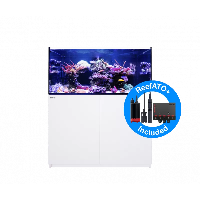 Möchten Sie Red Sea Reefer 350 G2+ Deluxe White kaufen? | Coralandfishstore.nl Möchten Sie Red Sea Reefer 350 G2+ Deluxe White kaufen? | Coralandfishstore.nl
