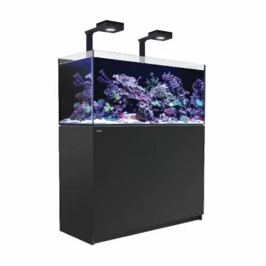 Red Sea Reefer 350 G2+ Deluxe Black kaufen?| Coralandfishstore.nl