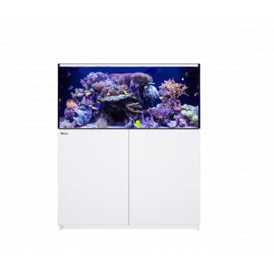 Red Sea Reefer 425 System G2+ White kaufen | Coralandfishstore.nl