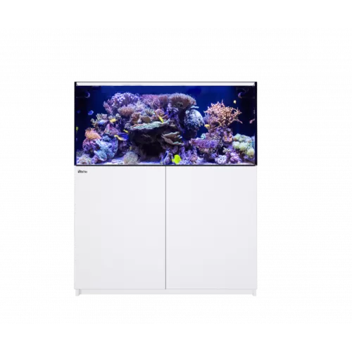 Red Sea Reefer XL 425 G2+ Wit
