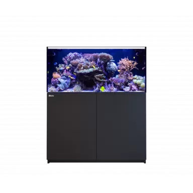 Red Sea Reefer 425 System G2+ Black kaufen | Coralandfishstore.nl