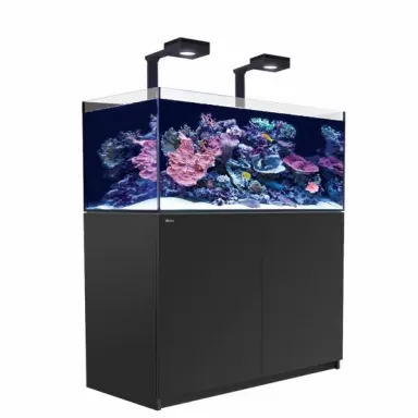 red sea reefer xl 425 g2+ deluxe schwarz (inkl. gereffter 160er) l Coralandfishstore.nl