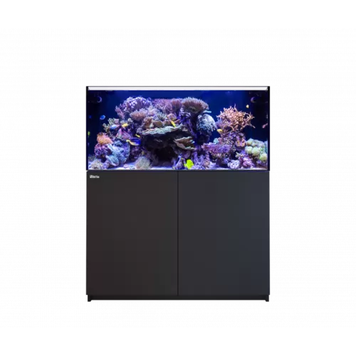 Red Sea REEFER™ 425 Komplettsystem G2 Deluxe – Schwarz (inkl. 2 x ReefLED® 90 & Montagearme) | Coralandfishstore.nl