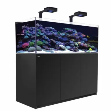 Red Sea Reefer 525 G2+ Deluxe Black (inkl. RL170) l Coralandfishstore.nl