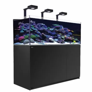 Möchten Sie Red Sea Reefer 525 G2+ Deluxe Black kaufen? | Coralland Fischladen