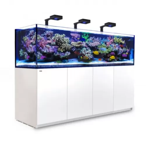 Red Sea Reefer XL 900 Deluxe System White 3 RL 160 bestellen? l Coralandfishstore.nl