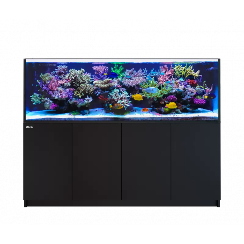 Red Sea Reefer XL 900 Deluxe System Black 3 RL 160 bestellen ? l Coralandfishstore.nl Red Sea Reefer XL 900 Deluxe System Black 3 RL 160 bestellen ? l Coralandfishstore.nl