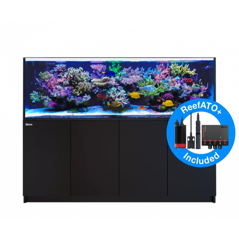 Red Sea Reefer XL 900 Deluxe System Black 3 RL 160 bestellen ? l Coralandfishstore.nl Red Sea Reefer XL 900 Deluxe System Black 3 RL 160 bestellen ? l Coralandfishstore.nl