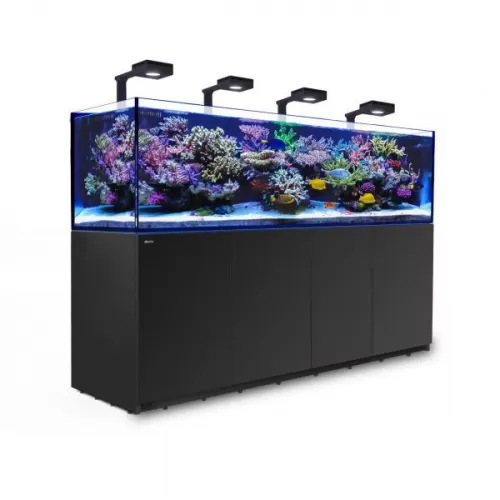 Red Sea REEFER 3XL 900 Deluxe System Schwarz l Coralandfishstore.nl