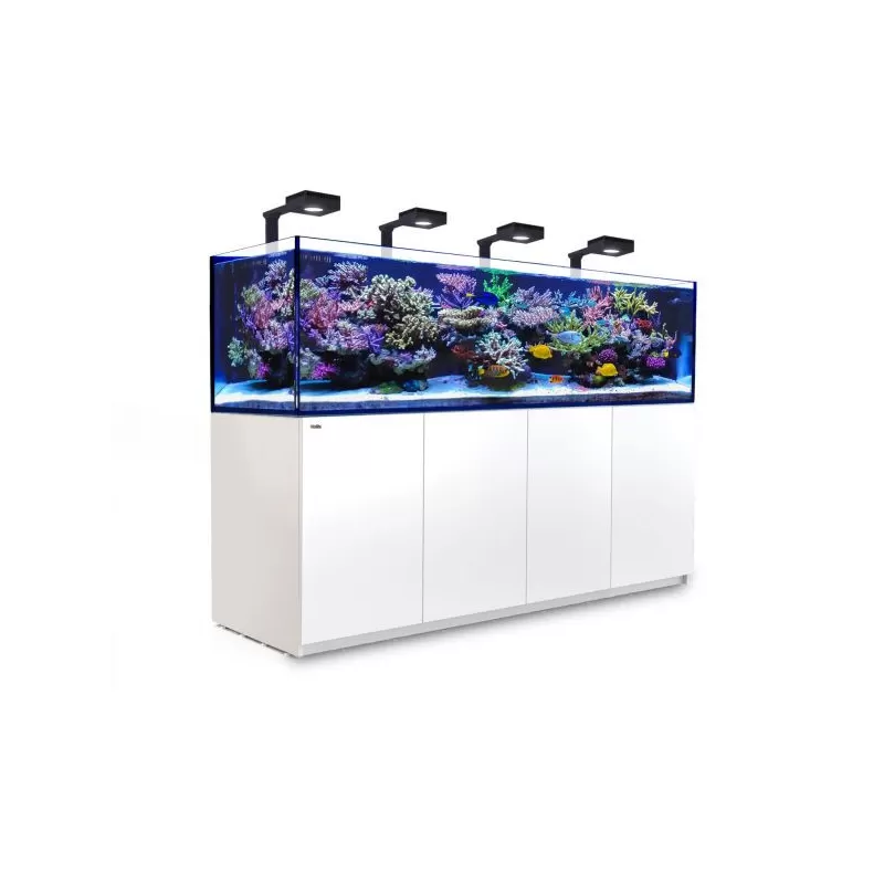 Red Sea REEFER 3XL 900 Deluxe System Weiß l Coralandfishstore.nl
