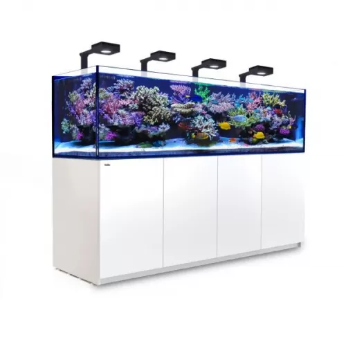 Red Sea REEFER 3XL 900 Deluxe System Weiß l Coralandfishstore.nl