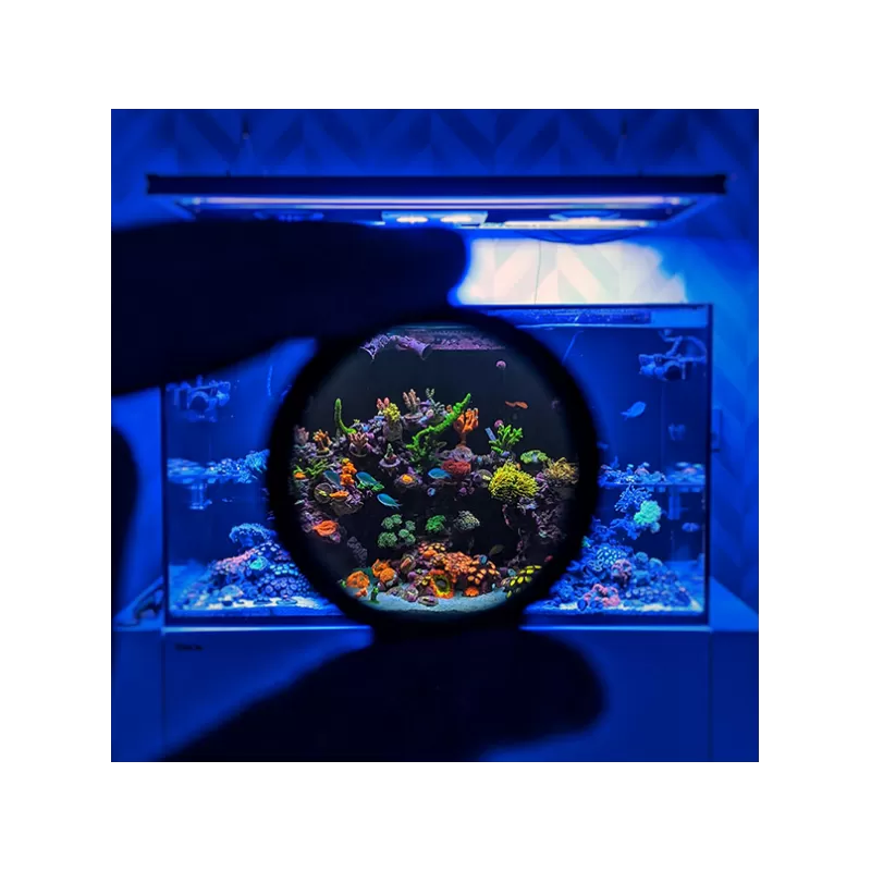 DD Mobile Phone Coral Photo Lens/filter | Coralandfishstore DD Mobile Phone Coral Photo Lens/filter | Coralandfishstore