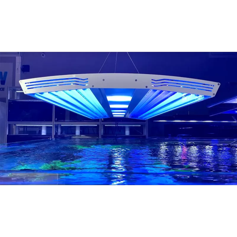 Giesemann Aurora V8 1500mm - Irridium