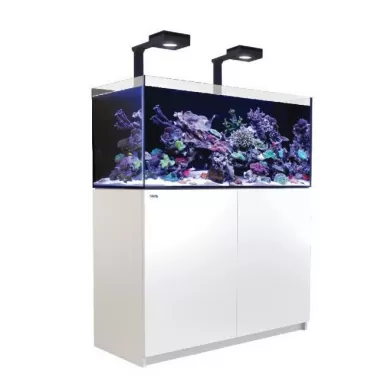 Red Sea REEFER MAX 425 G2+ White
