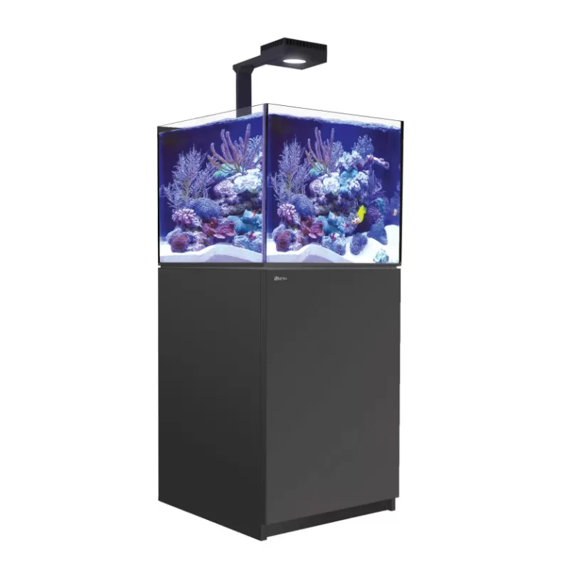Red Sea REEFER MAX 200 G2+ Komplettsystem | Corallandfishstore Red Sea REEFER MAX 200 G2+ Komplettsystem | Corallandfishstore