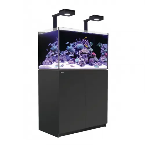 Red Sea REEFER MAX 250 G2+