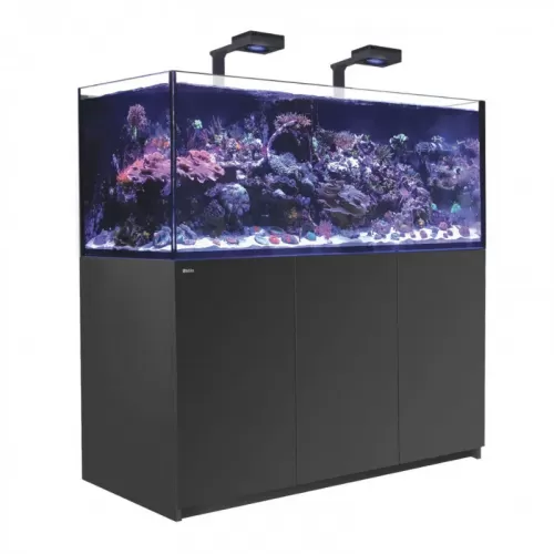 Red Sea REEFER MAX 625 G2+ Black