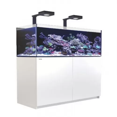 Red Sea REEFER MAX 625 G2+ White