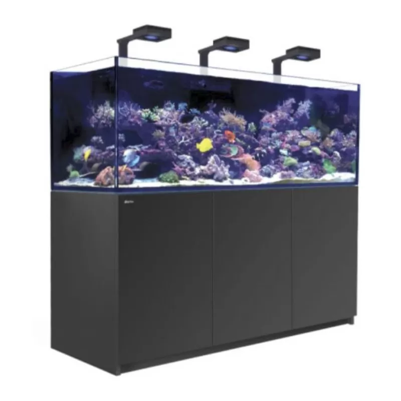 Red Sea REEFER MAX 750 G2+ Komplettsystem | Corallandfishstore