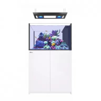 Reefer MAX Peninsula S-350 G2+ Komplettsystem | Corallandfishstore